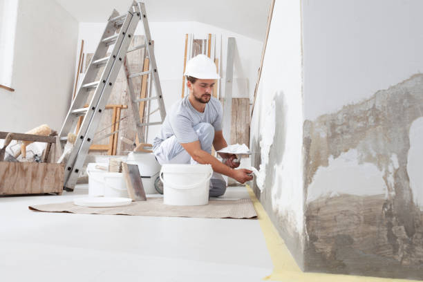 Best Mold Remediation for Rental Properties  in Hickory Hls, IL