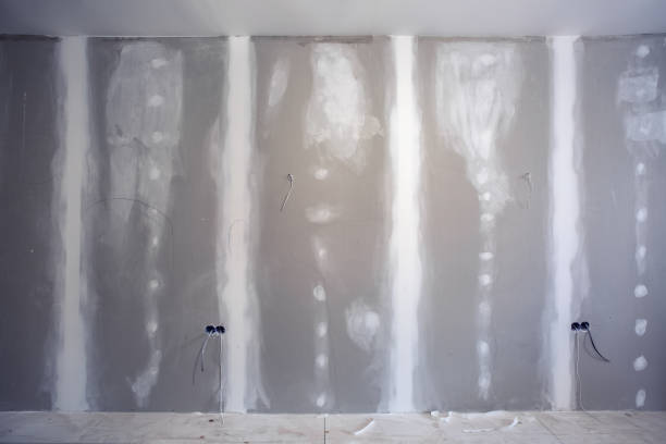 Best Real Estate Mold Inspection  in Hickory Hls, IL