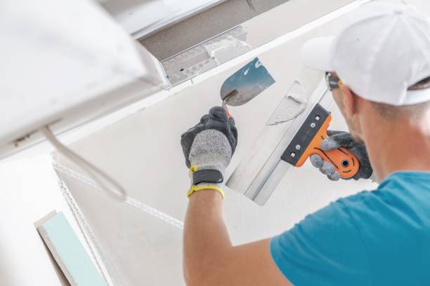 Best Attic Mold Removal  in Hickory Hls, IL